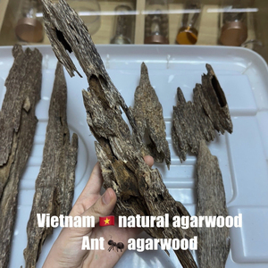 ขายดี ไม้กฤษณาเวียดนาม บัคฮอร์ ขายส่ง ไม้กฤษณาธรรมชาติคุณภาพสูง ชิปไม้หอม ชิปไม้กฤษณา - Product Image 3