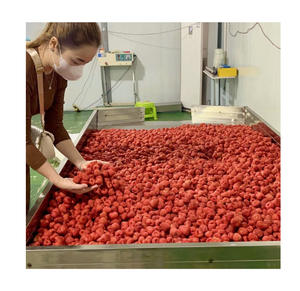 Fresas Secas Enteras Procesadas con Método FD, Dulces y Crujientes, Naturales, a Granel, 8% de Humedad, 1 kg, Empacadas al Vacío para Regalo - Product Image 1