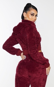High Quality Custom Two-Piece Velvet <b>Ladies</b> Embroidered Eco-Friendly Hooded Tracksuit Set Breathable Streetwear Solid Color - Product Image 4