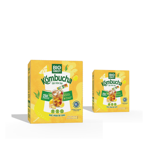 Échantillons Gratuits : Poudre de Kombucha Bio Saveur Gingembre Citron Vert, Thé aux Fruits Digestif, Préparation Rapide, Emballage en Stick - Product Image 3