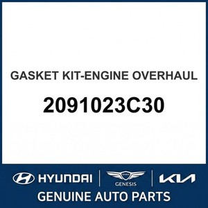 ชุดปะเก็นและซีลใหม่ รุ่น 2091023C30 - Product Image 1