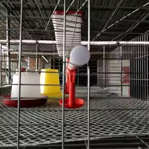 Di alta qualità del bambino pulcino H tipo 3/4 livelli da 90 a 320 uccelli pollame allevamento caldo zincato batteria Brooder gabbia di pollo per la vendita - Product Image 4