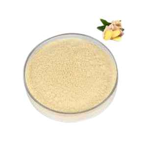 Vietnam Origin <b>Ginger</b> Powder Food Grade High Purity for Beverage Bakery and Seasoning Applications - Product Image 3