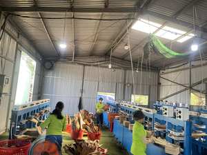 ชุดอาหารเย็นจากใบปาล์มกันน้ำพร้อมจำหน่าย |   จานกระดาษแบบใช้แล้วทิ้ง 100% ออร์แกนิกสำหรับงานปาร์ตี้กลางแจ้ง - Product Image 6