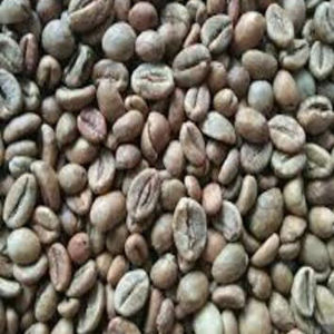 ผู้ผลิตเมล็ดกาแฟโรบัสต้าผสมธรรมชาติสีเขียวเกรดพรีเมียม AA สำหรับส่งออกจำนวนมาก - Product Image 2