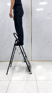 Chariot utilitaire pliable 2-en-1 avec échelle, chariot à main robuste, portable, fournisseur OEM Vietnam - Product Image 2