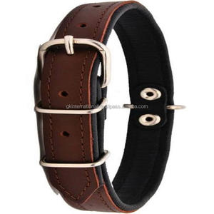 Le fabricant de licol en nylon rembourré doux conçoit votre propre licol en nylon pour cheval pour les produits de marque privée pour chevaux - Product Image 3