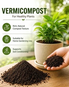 Vermicompost naturel biologique traité à base de vers de terre, conditionneur de sol, matériau granulaire fin pour les cultures maraîchères, les jardins et l'agriculture - Product Image 3