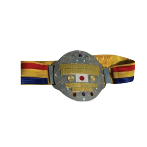 Ceinture de championnat japonaise personnalisée, qualité supérieure, design or et rouge, ceinture de lutte unique, objet de collection - Product Image 1