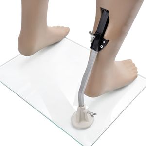 Maniquí de cabeza redonda de hombre con forma de cabeza elegante - Product Image 6