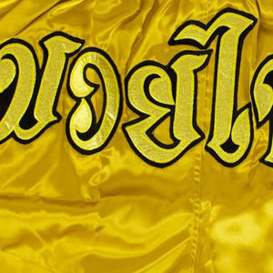 Pantalones Cortos de Artes Marciales Muay Thai de Algodón para Hombre, Diseño Personalizable con Logotipo y Estampado de Bestias, Función Elástica, Servicio OEM - Product Image 3