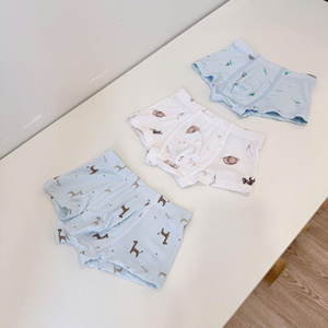 SeunKids - Braguitas de Bambú para Niños al por Mayor, Ropa Interior Transpirable y Suave para Niños, Proveedor de Vietnam - Product Image 1