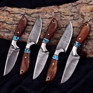 Couteaux de chasse et de camping à lame fixe de haute qualité pour l'extérieur, couteaux Bowie à manche en bois, couteau de chasse, couteau à dépecer, couteau de tous les jours - Product Image 2