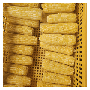 Maíz Congelado en Fábrica IQF, Empaque a Granel, Ideal para Ensaladas y Guarniciones Frías, Origen Vietnam, Corte Preciso, Preparación Rápida - Product Image 1