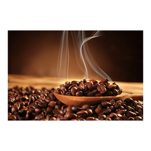 Compra/Ordena en Línea Granos de Café Robusta Orgánico de Alta Calidad, Verdes y Tostados, al Mejor Precio para Exportación - Product Image 5
