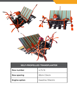 Trasplantadora Manual de Arroz de Alta Calidad con 4/5/6 Hileras, Caja de Cambios con Motor, Distancia entre Hileras de 20cm/24cm, Alta Productividad, Venta Directa - Product Image 3