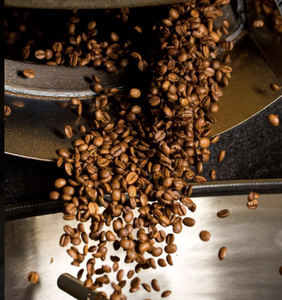 Meilleures ventes DHPONE Grains de café torréfiés 100% Robusta Qualité export traditionnelle vietnamienne 20kg/carton Prix de gros - Product Image 1