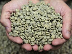 Direct Export Vietnam Specialty Robusta Green Coffee <b>Beans</b> Size 18 High Quality Grade G1/G2 ISO 22000 Certified 1000kg Bags - Product Image 3