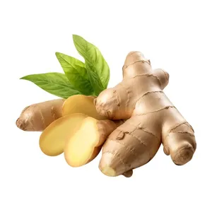 น้ำมันหอมระเหยขิงแท้ 100% (Zingiber Officinale) - ขายส่งเกรดเครื่องสำอางสำหรับธุรกิจ B2B - นำเข้าจากอินเดีย - Product Image 6
