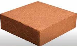 Substrat de coco écologique biodégradable léger pour jardinage, hydroponie et culture de plantes - Product Image 1