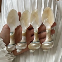 Ensemble de cuillères à fourchette en nacre de haute qualité pour coquillage servant des ustensiles de cuisine à domicile cadeaux écologiques directement du Vietnam