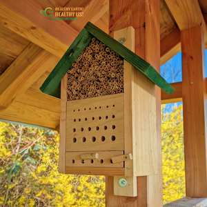 Tubo de Bambú de 10cm 15cm, Tamaño Personalizado, para Abejas e Insectos, Material Natural para Nidos, para Hotel de Abejas y Casa de Insectos, ECO2GO VIETNAM - Product Image 4