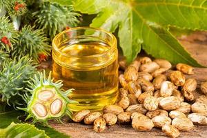 Proveedor de Aceite de Ricino 100% Puro Prensado en Frío al por Mayor para Cosméticos, Cuidado del Cabello, Jabón, Compradores Industriales, Exportación, Fabricación - Product Image 1