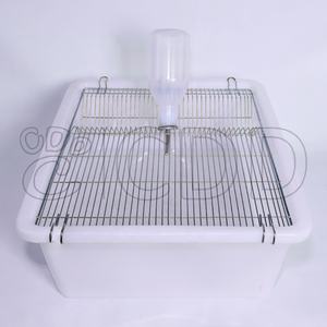 Commercio all'ingrosso laboratorio polipropilene plastica roditore topi allevamento case vasca gabbia contenitore con acqua bottiglia per bere - Product Image 4