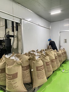 Venta al por Mayor con Descuento DHPONE Granos de Café Verde Robusta Procesados Limpios Café Tradicional Vietnamita de Alta Calidad Grado 1 ISO - Product Image 6