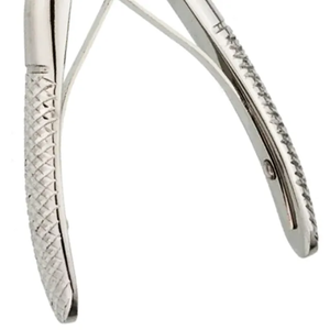 คีมถอนฟันพรีเมียม สแตนเลสสตีล คีมถอนฟัน เครื่องมือผ่าตัดสำหรับทันตแพทย์ - Product Image 3