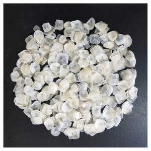 Écailles de poisson séchées pour la fabrication de produits nutraceutiques, ingrédients alimentaires fonctionnels et applications de compléments alimentaires - Product Image 1