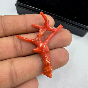 ลูกปัดปะการังสีแดงรูปทรงกิ่งไม้ พลอยดิบสำหรับทำเครื่องประดับ รูปทรงต้นไม้ ปะการังอิตาลี พลอยคุณภาพสูง - Product Image 1