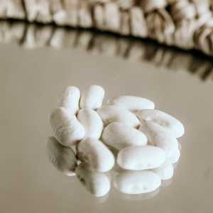 ถั่วขาวคุณภาพดี ขายดี ถั่วขาวแห้ง ถั่วขาวออสเตรีย คุณภาพสูง ดีต่อสุขภาพ - Product Image 2