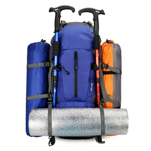 Sac à dos tactique à prix d'usine, cadre Molle, coque rigide imperméable, nylon durable, bretelles réglables, grande capacité, randonnée - Product Image 4