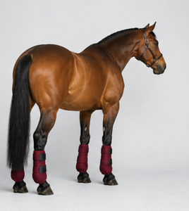 Bottes de protection en néoprène pour l'équitation, absorbant les chocs, respirantes, durables, protection des jambes, fournisseur OEM, bottes d'équitation - Product Image 6