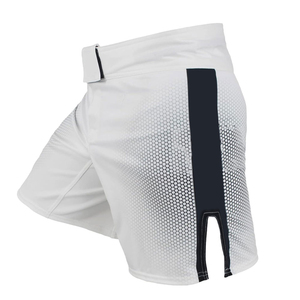 Shorts de combat pour hommes, design tendance, légers, dernier cri, style unique, shorts de boxe MMA personnalisés - Product Image 3