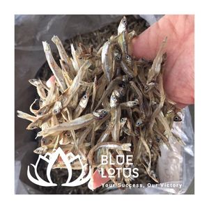 BEST SELLER Anchois séchés durables et propres, fruits de mer séchés de haute qualité pour restaurants et traiteurs - Product Image 1