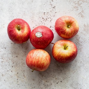 Vente en gros de pommes rouges fraîches Fuji de qualité supérieure, croustillantes et sucrées, emballées en carton, en vrac, à prix avantageux - Product Image 5