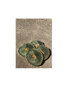 Durable Heat Proof Resin Coaster With Smooth Polished Finish For Long Lasting <b>Table</b> <b>Protection</b> - Product Image 4