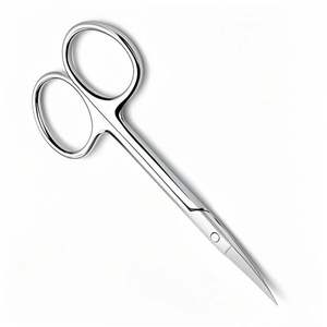 Nouveauté 2023 : Ciseaux à cuticules en acier inoxydable, pointe incurvée affûtée, finition polie, pour soins des ongles - Product Image 2