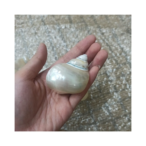 <b>Decorative</b> Shell Napkin Ring Elegant Coastal Home <b>Decor</b> Wedding Banquet Restaurant Hotel <b>Table</b> Accessories - 99 GOLD DATA - Product Image 2