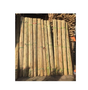 Poteaux en bambou en gros, matériau naturel pour clôtures et utilisation extérieure - Product Image 1