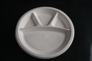 Vajilla de bagazo 100% natural de 12 pulgadas, 4 piezas, gama de artículos de mesa – Vajilla de bagazo al por mayor para servicios de catering y hostelería ecológicos - Product Image 2