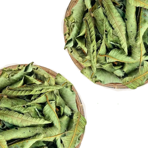 Polvo Fino de Hoja de Guayaba Herbal Seca de Exportación, Oferta para Compradores al por Mayor, Hojas Herbales Secas al Sol, Empacadas en Bolsa de Aluminio, Proveedor de Vietnam - Product Image 4