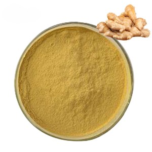 Poudre de gingembre sauvage 100 % pure et naturelle de haute qualité, extraite par solvant, de qualité alimentaire, séchée, à prix de gros, provenant d'Inde - Product Image 2