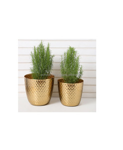 Macetas y jardinera para exteriores, decoración de azada y jardín, novedad - Product Image 6