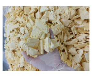 Kiwi lyophilisé premium provenant d'un fournisseur vietnamien - Tranches de kiwi croustillantes pour la restauration rapide et l'industrie de la pâtisserie - Product Image 3