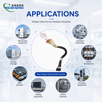 Harnais de câblage industriel OEM personnalisé pour nouvelles énergies 12V 24V, charge BMS pour stockage d'énergie