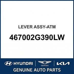 Optima Nuevas Piezas y Accesorios para Autos y Camiones 467002G390LW - Product Image 1
