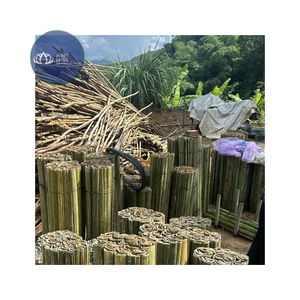 Postes de Bambú Ecológicos de Alta Calidad para Jardín, Soporte para Plantas, Bambú Azul Personalizable - Product Image 1